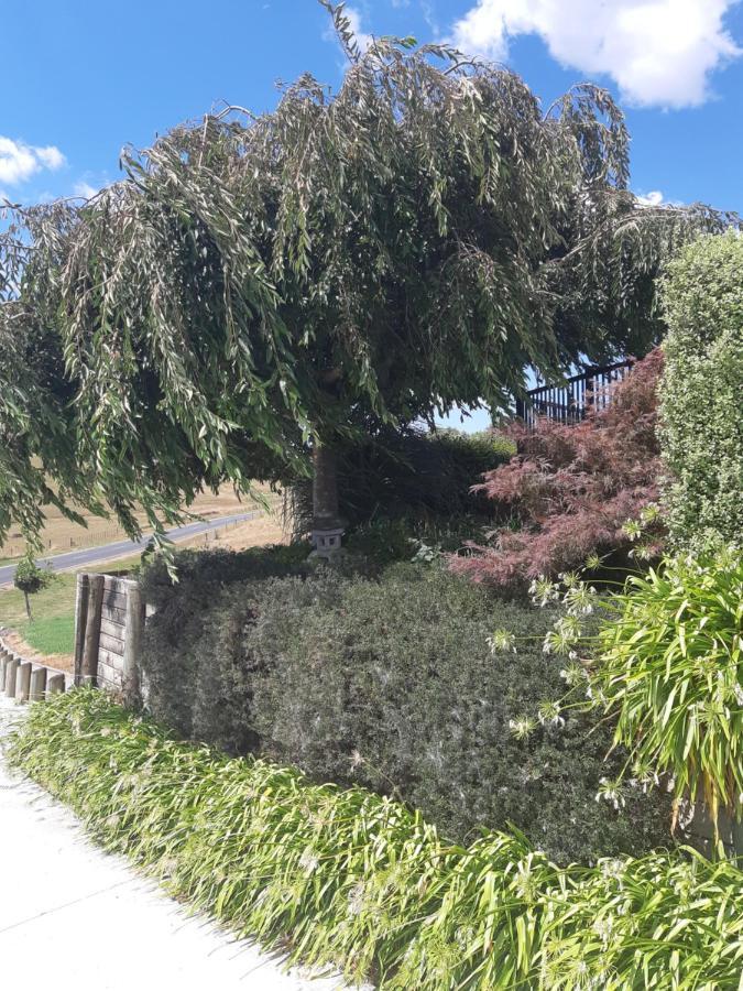 The End Lounge B&B Otorohanga Exterior photo